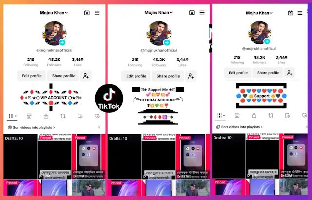 Tiktok Bio style 2024 | Tiktok bio Stylish | Tiktok bio Copy and Paste