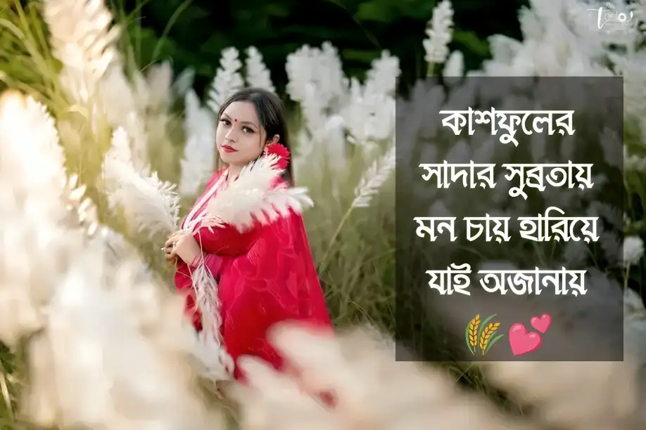 কাশফুল নিয়ে ক্যাপশন - kashful caption 