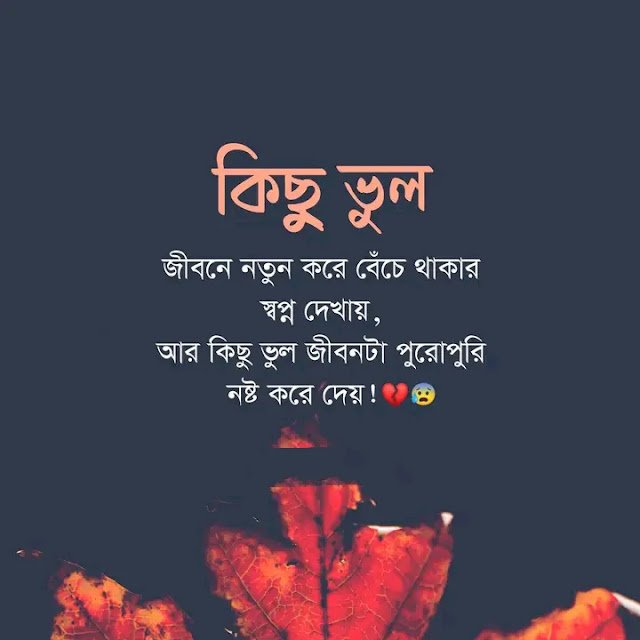 কষ্টের স্ট্যাটাস বাংলা | কষ্টের স্ট্যাটাস লেখা  | Sad caption bangla 2024