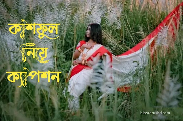 কাশফুল নিয়ে ক্যাপশন | kashful caption 2024