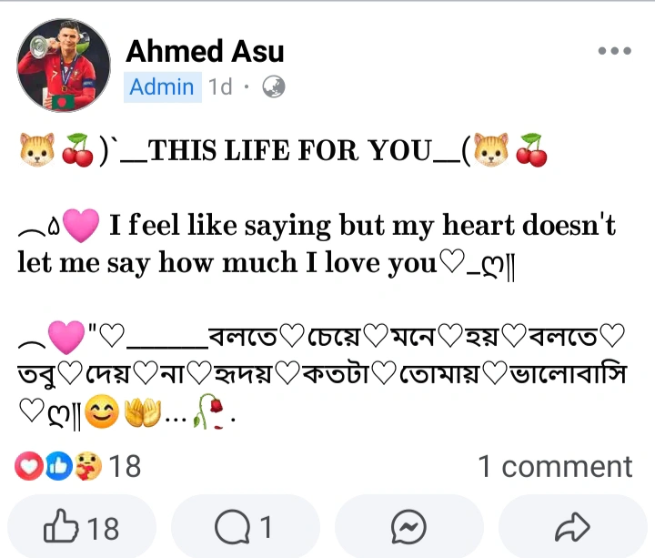 ইংরেজি ক্যাপশন বাংলা অর্থসহ