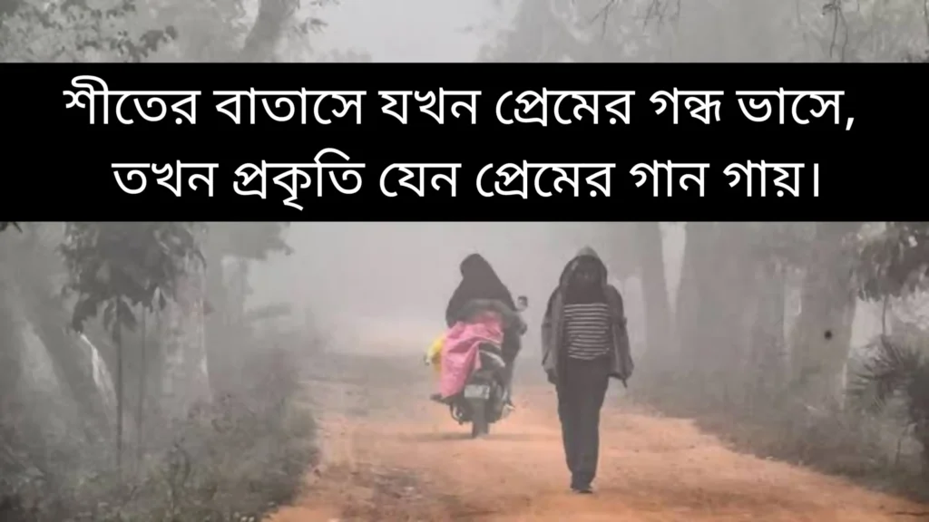 শীত নিয়ে রোমান্টিক স্ট্যাটাস 