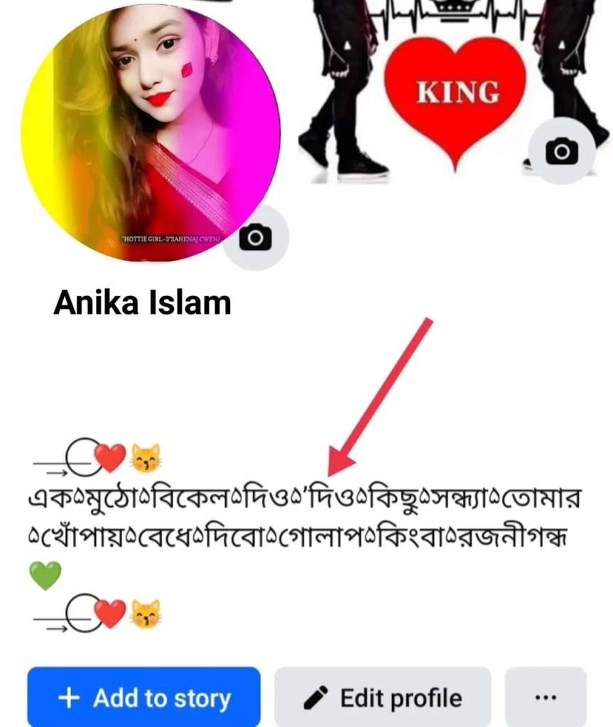 ফেসবুক বায়ো বাংলা স্টাইল