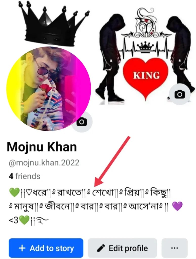 ছেলেদের ফেসবুক বায়ো বাংলা