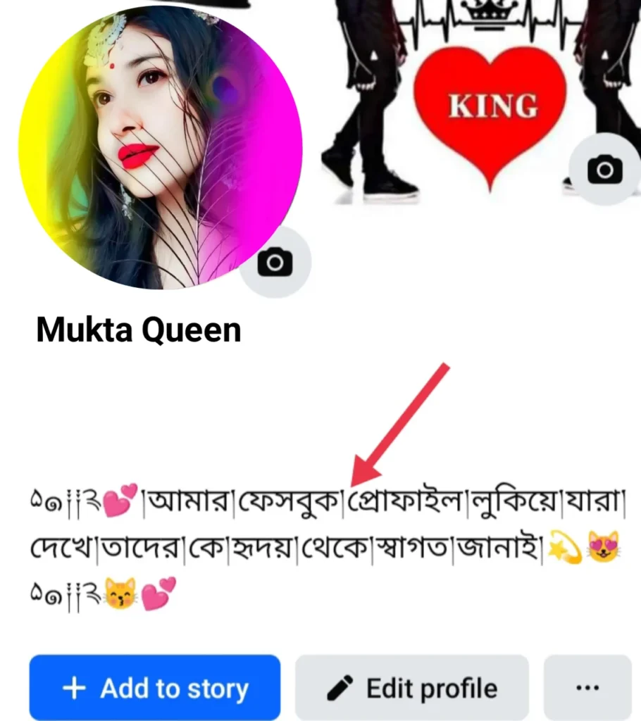মেয়েদের ফেসবুক বায়ো বাংলা
