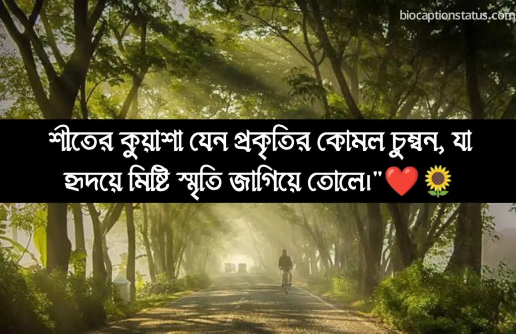 শীত নিয়ে স্ট্যাটাস 