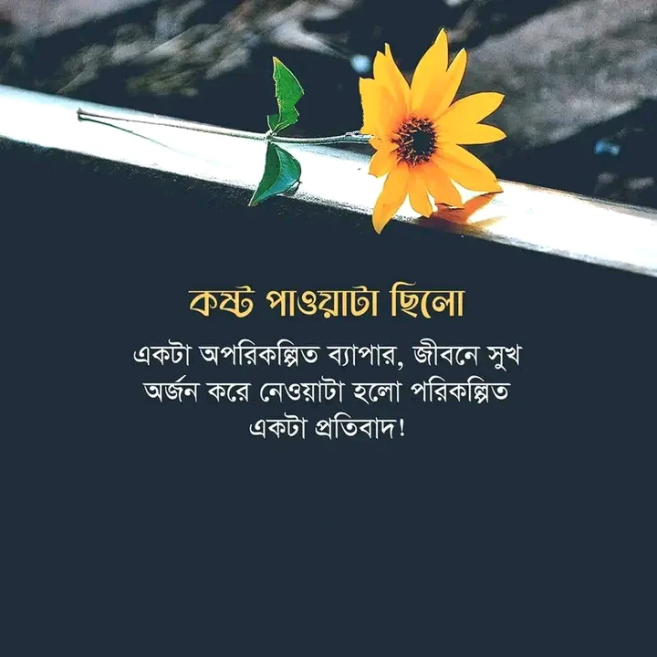 ২০০+ উপদেশ মূলক পোস্ট,ক্যাপশন, স্ট্যাটাস ২০২৫ 8 উপদেশ মূলক কথা পিক