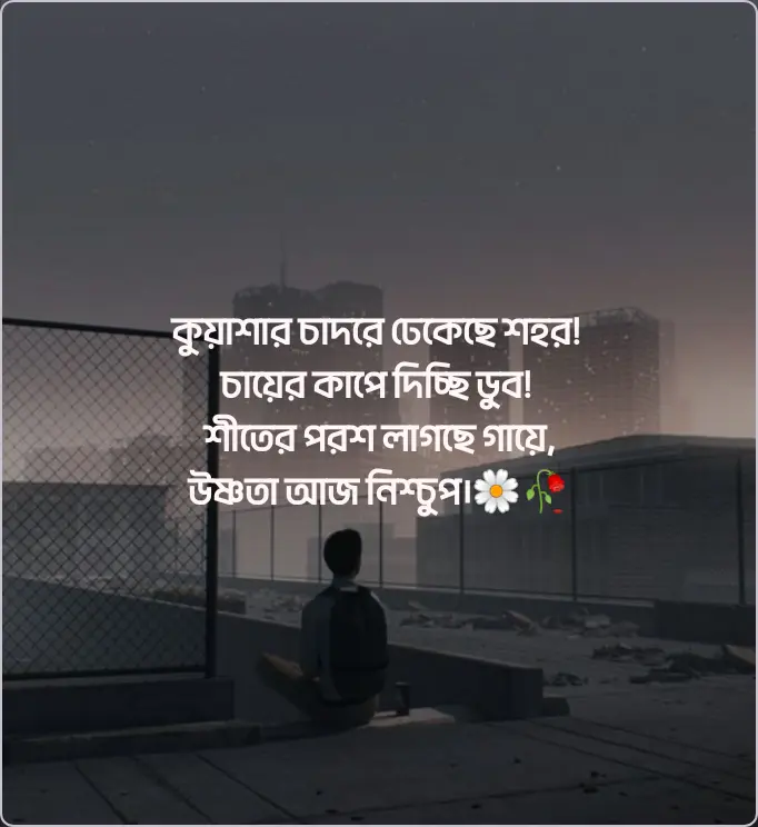 ৩০০+ কুয়াশা নিয়ে ক্যাপশন | কুয়াশা নিয়ে রোমান্টিক ক্যাপশন ২০২৫ 1 কুয়াশা নিয়ে ক্যাপশন