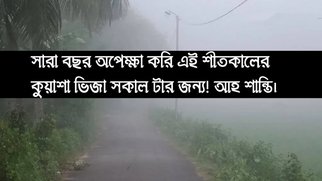 ৩০০+ কুয়াশা নিয়ে ক্যাপশন | কুয়াশা নিয়ে রোমান্টিক ক্যাপশন ২০২৫ 2 শীতের কুয়াশা নিয়ে ক্যাপশন