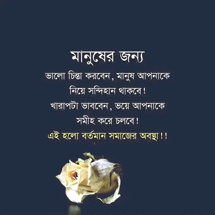 ২০০+ উপদেশ মূলক পোস্ট,ক্যাপশন, স্ট্যাটাস ২০২৫ 7 উপদেশ মূলক কথা পিক