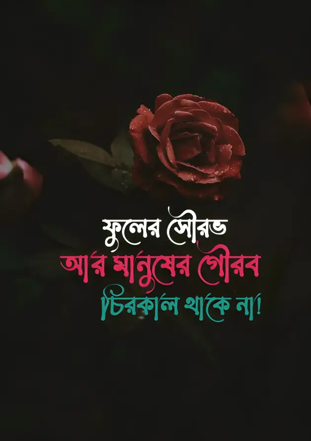 ২০০+ উপদেশ মূলক পোস্ট,ক্যাপশন, স্ট্যাটাস ২০২৫ 13 উপদেশ মূলক স্ট্যাটাস পিক