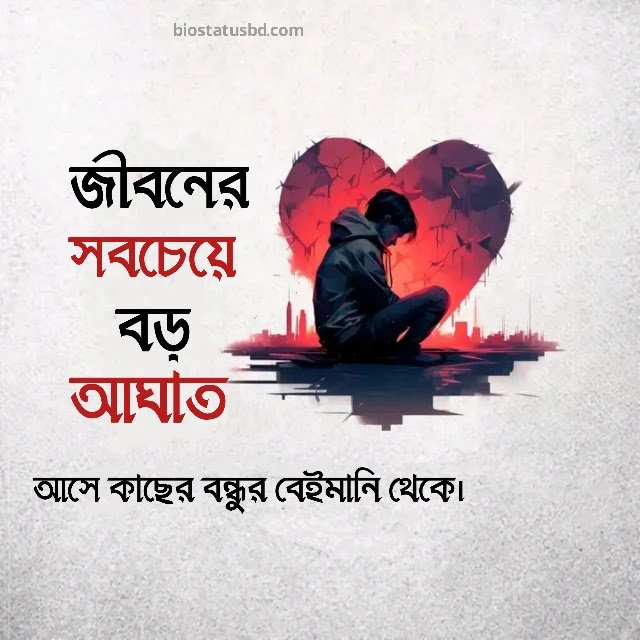 beiman bondhu status 1484275657