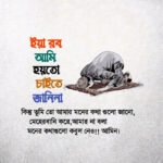 islamic status pic 792841453