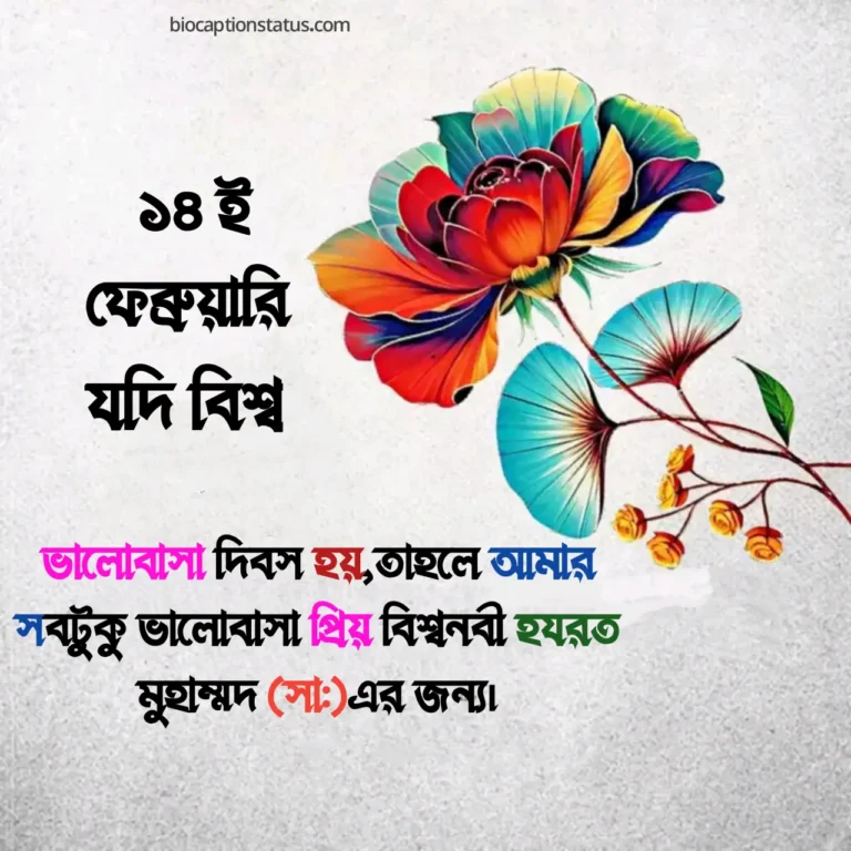 ১৪ই ফেব্রুয়ারি নিয়ে ইসলামিক স্ট্যাটাস