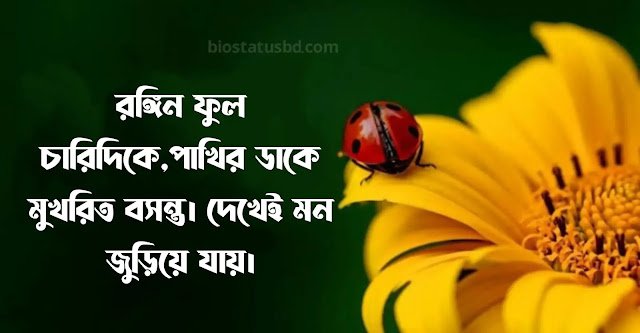 boshonto caption bangla 565079046