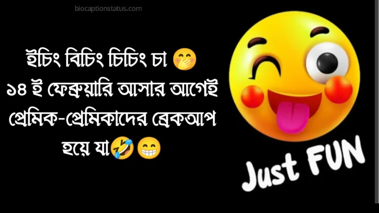 ১৪ ই ফেব্রুয়ারি নিয়ে ফানি স্ট্যাটাস