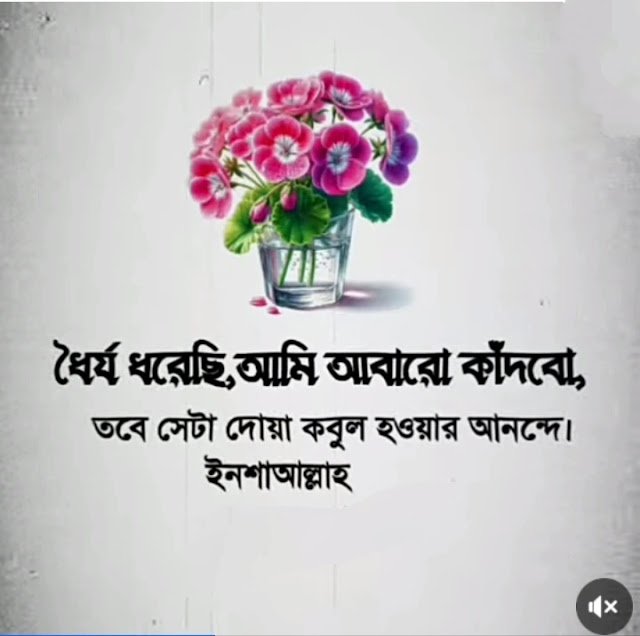 dorjo niye status 2 1779698087