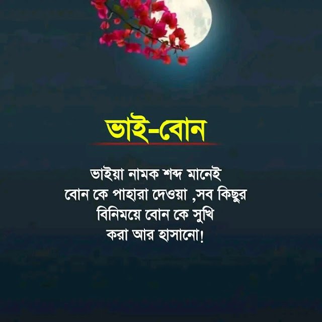 ভাই বোন নিয়ে স্ট্যাটাস