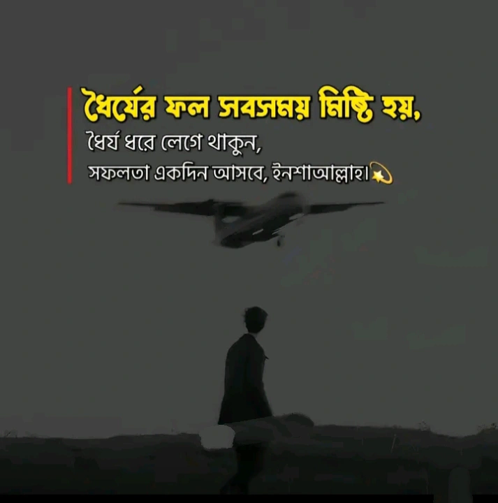 ২০০+ সফলতা নিয়ে স্ট্যাটাস: সফলতা নিয়ে সেরা উক্তি ২০২৫ 2 সফলতা নিয়ে স্ট্যাটাস