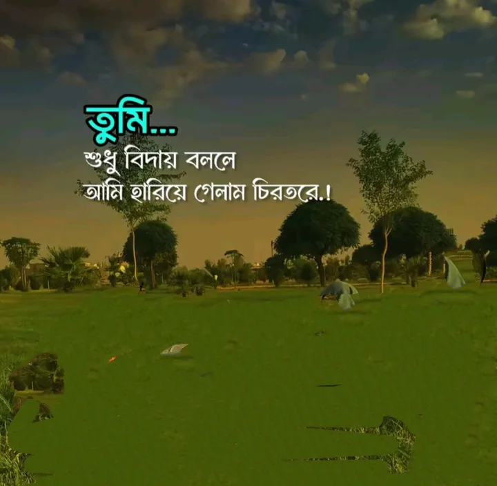 ১০০+ বিচ্ছেদের পর না বলা ভালোবাসার স্ট্যাটাস 2 বিচ্ছেদের পর না বলা ভালোবাসার স্ট্যাটাস