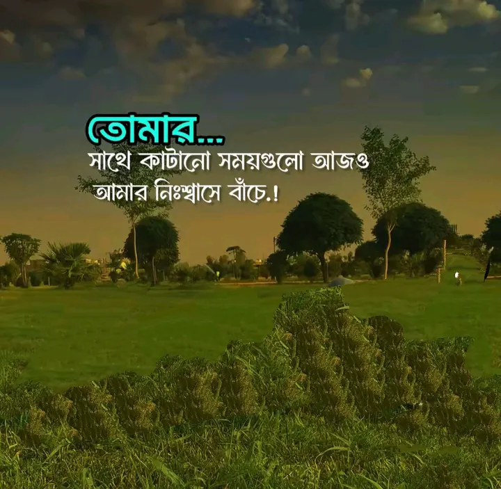 ১০০+ বিচ্ছেদের পর না বলা ভালোবাসার স্ট্যাটাস 3 বিচ্ছেদের পর না বলা ভালোবাসার স্ট্যাটাস