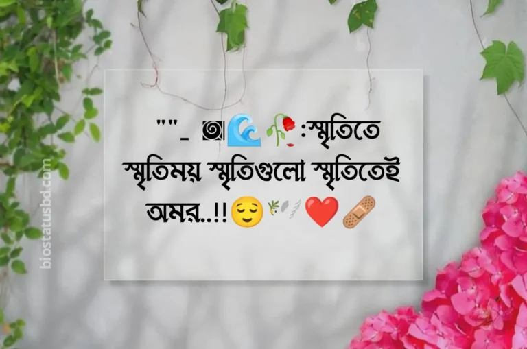 স্মৃতি নিয়ে উক্তি,স্ট্যাটাস,ক্যাপশন ও কিছু কথা